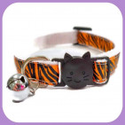 Kitten-152